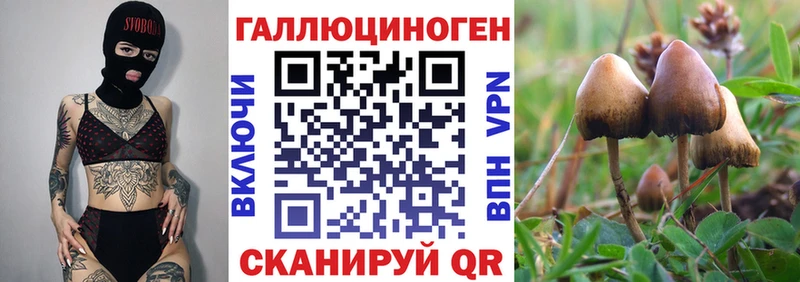 Купить  Михайлов  Галлюциногенные грибы прущие грибы 